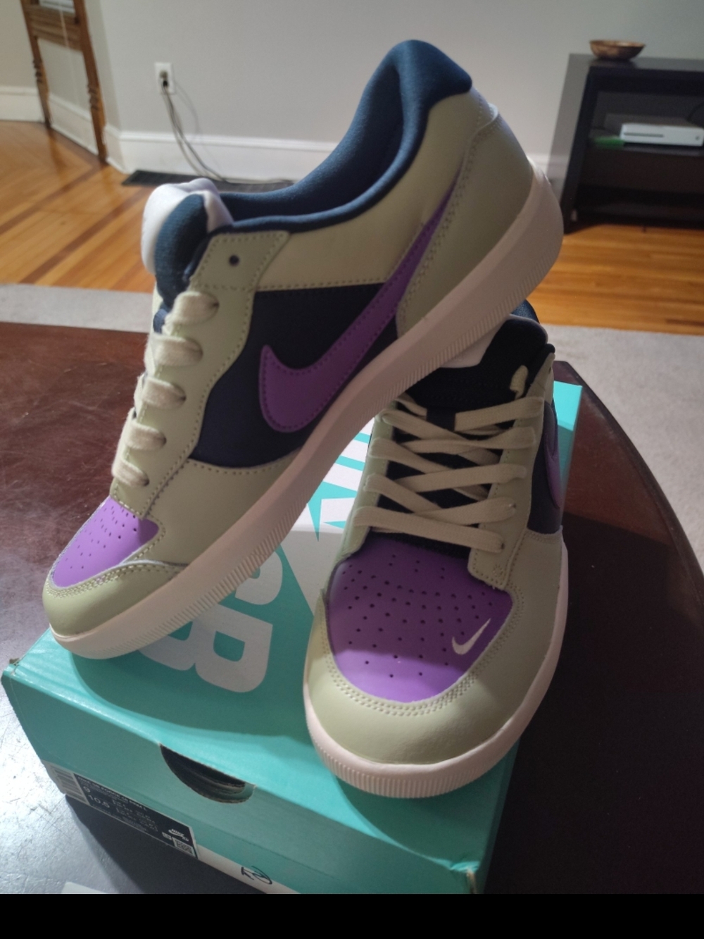 Nike SB Force 58 Premium Low
